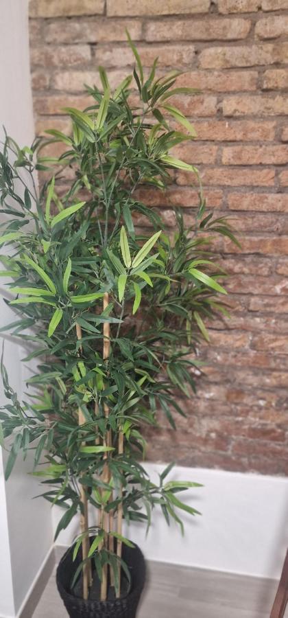 Ferienwohnung Barcelona,Apartamento Con Terraza L’Hospitalet de Llobregat Exterior foto